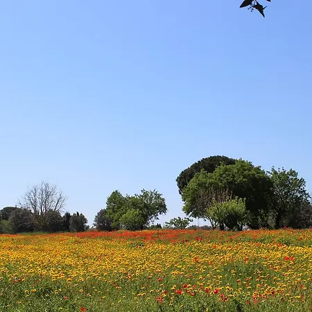 Casina Bardoscia * קוטרופיאנו