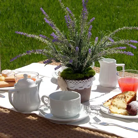 Casina Bardoscia בית חווה *