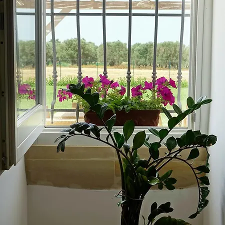 בית חווה Casina Bardoscia *