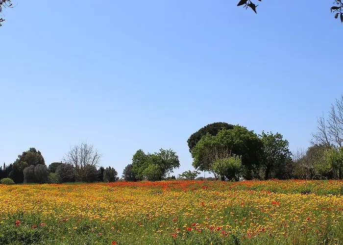 Casina Bardoscia * Cutrofiano