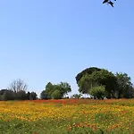 Casina Bardoscia * 쿠트로피아노